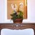 Équipements de la chambre