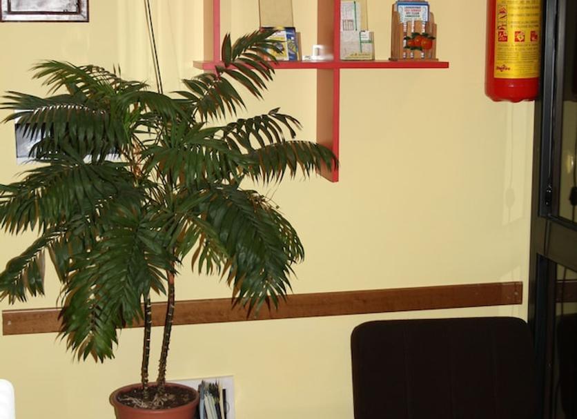 Équipements de la chambre Photo