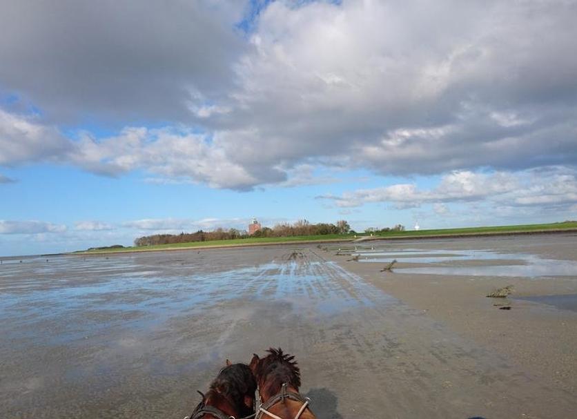 Plage Photo