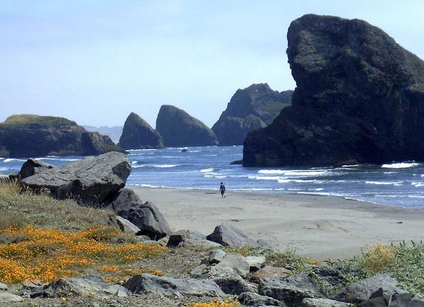 Plage Photo