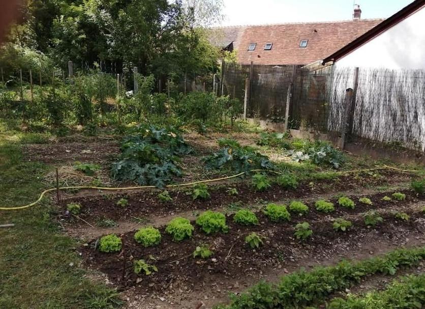 Extérieur Photo