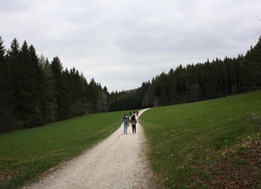 Autre Photo