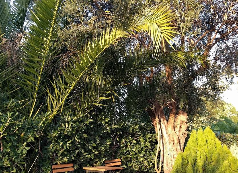 Extérieur Photo