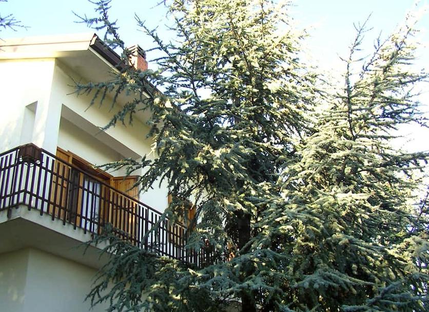 Extérieur Photo