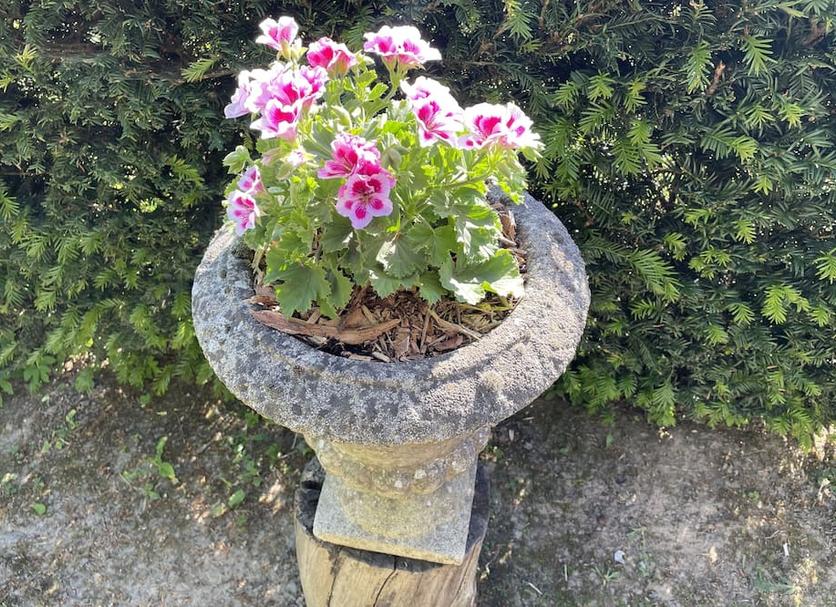 Extérieur Photo