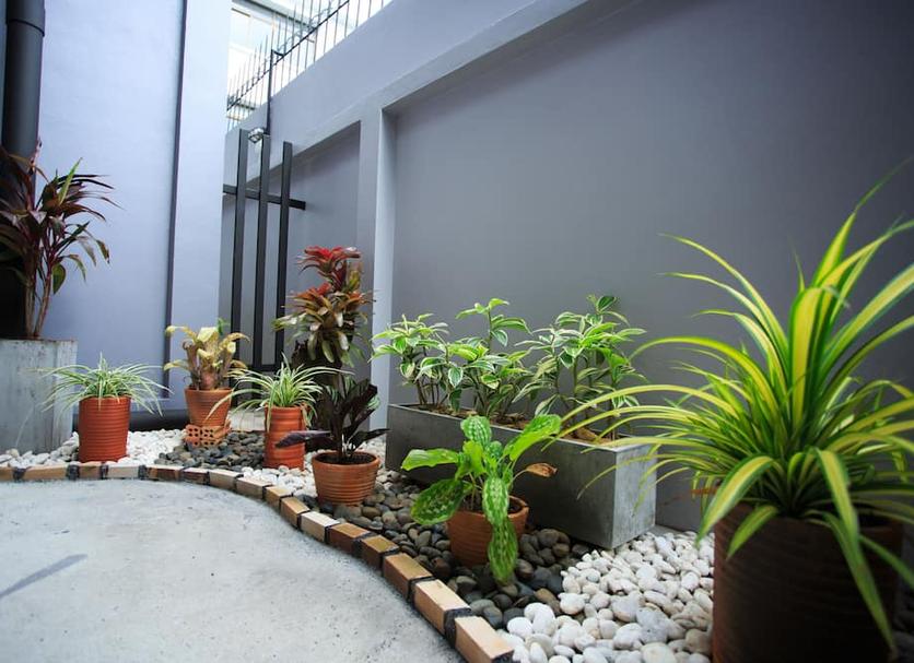 Extérieur Photo