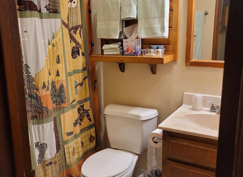 Salle de bain Photo