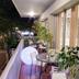 Balcon