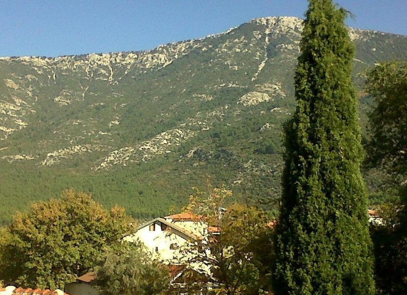 Extérieur Photo