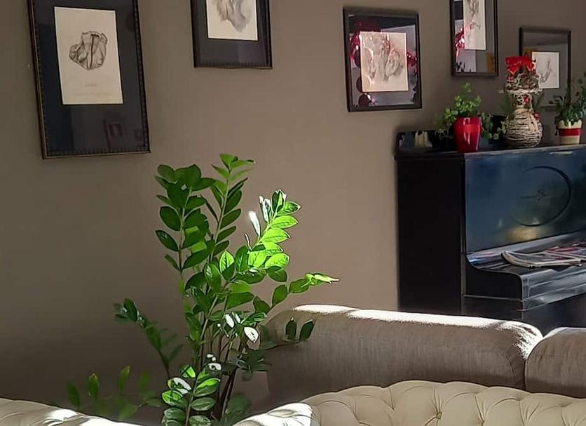 Équipements de la chambre Photo