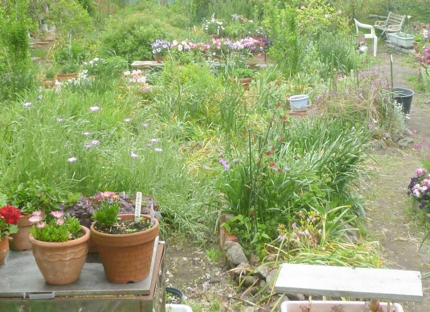 Extérieur Photo