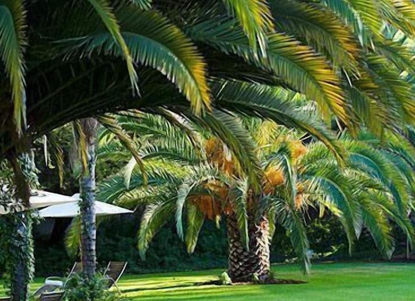 Extérieur Photo