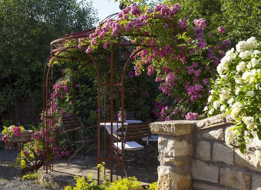 Patio Photo