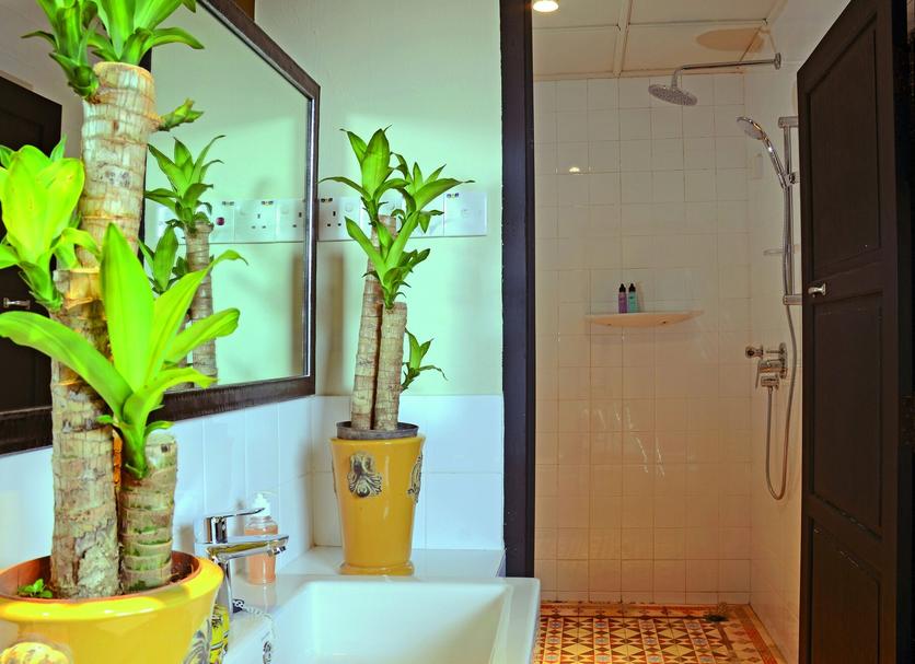 Salle de bain Photo