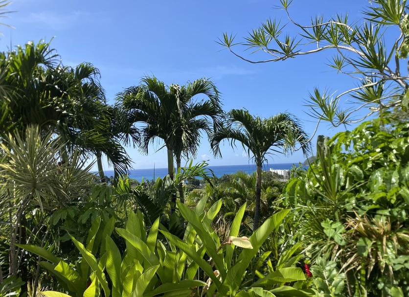 Extérieur Photo
