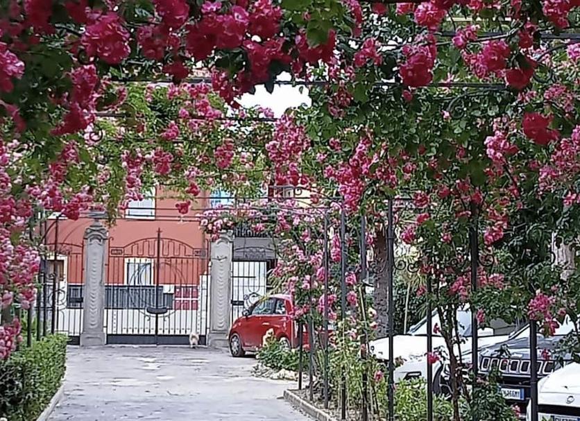 Extérieur Photo
