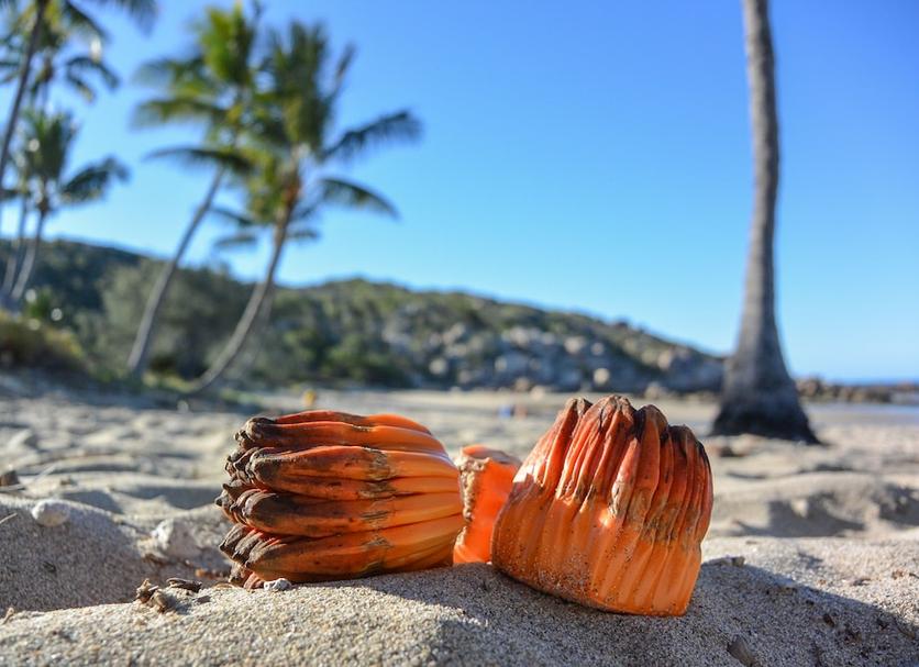 Plage Photo