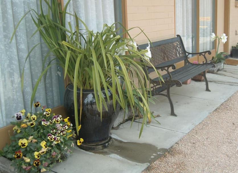 Patio Photo