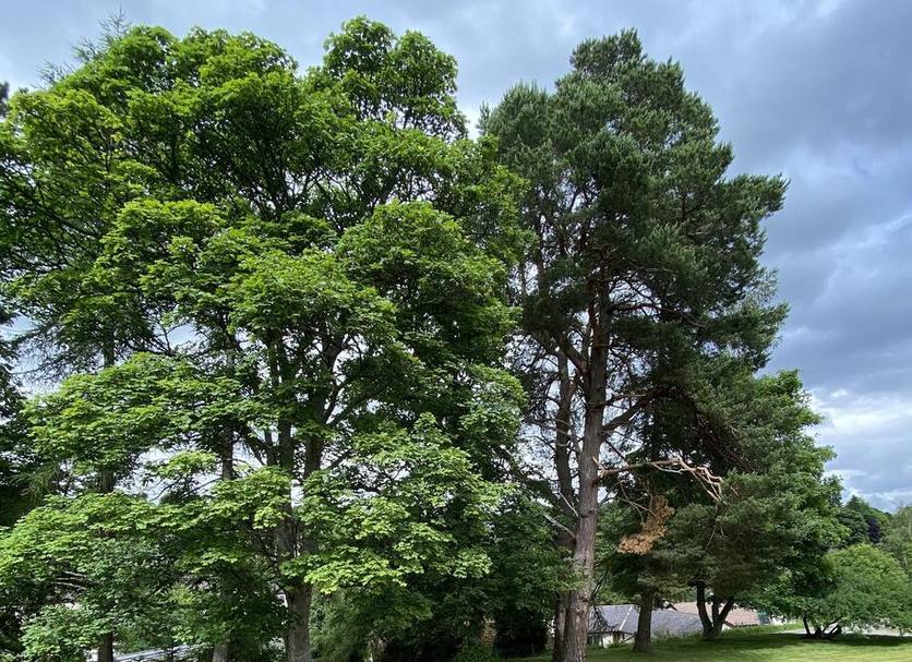 Extérieur Photo
