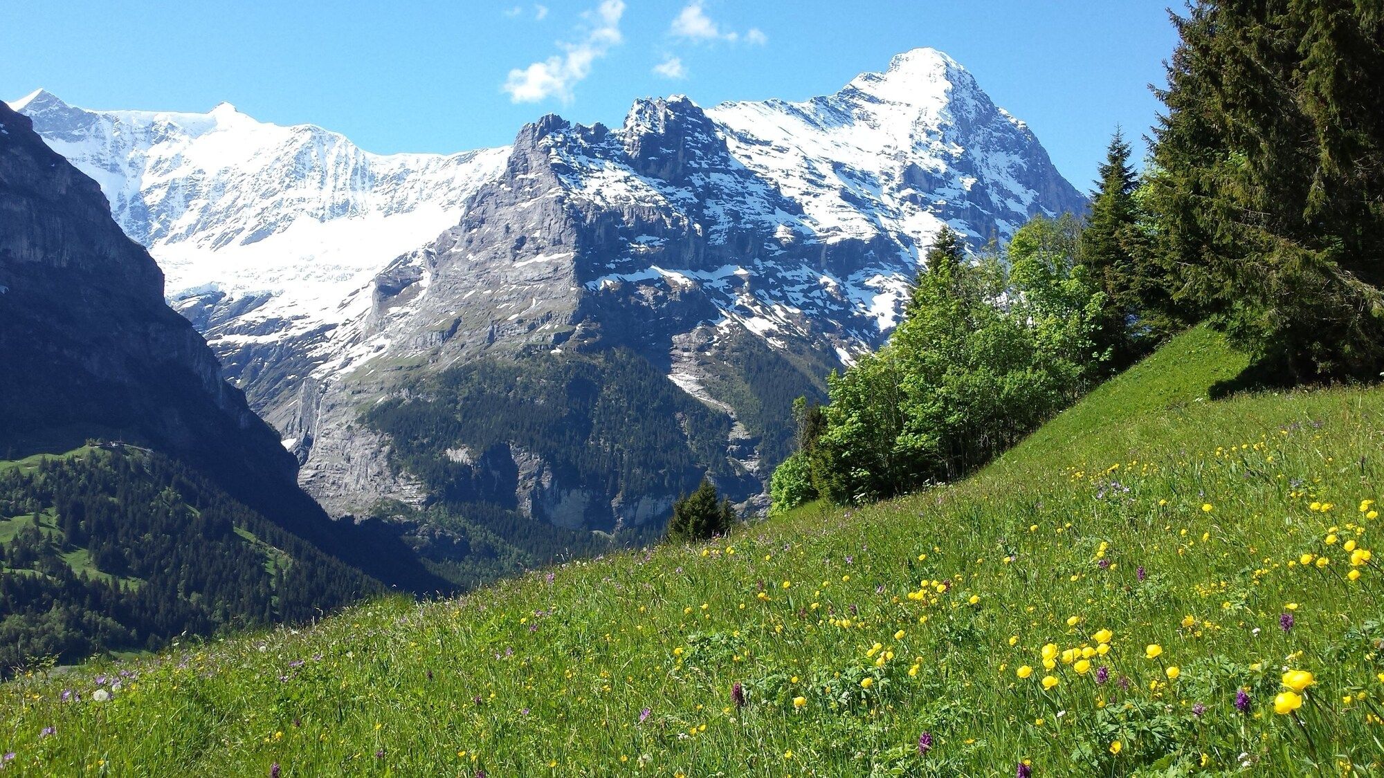 Extérieur Photo