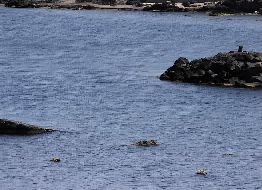 Plage Photo
