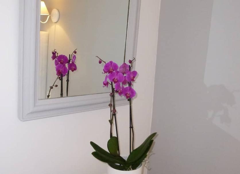 Équipements de la chambre Photo