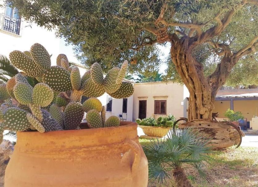 Extérieur Photo