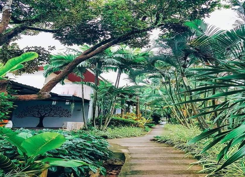 Extérieur Photo