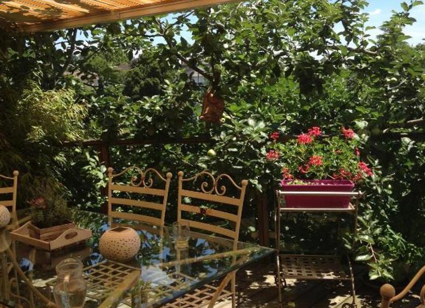 Patio Photo