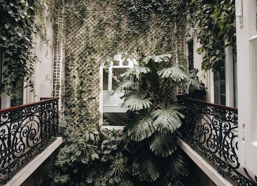 Extérieur Photo
