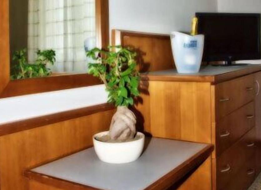Équipements de la chambre Photo