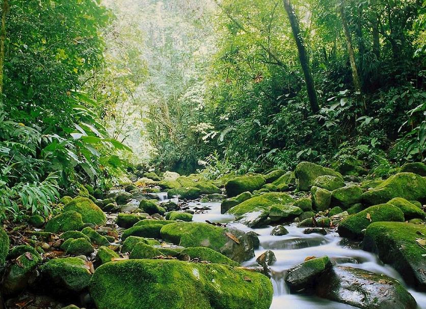 Extérieur Photo