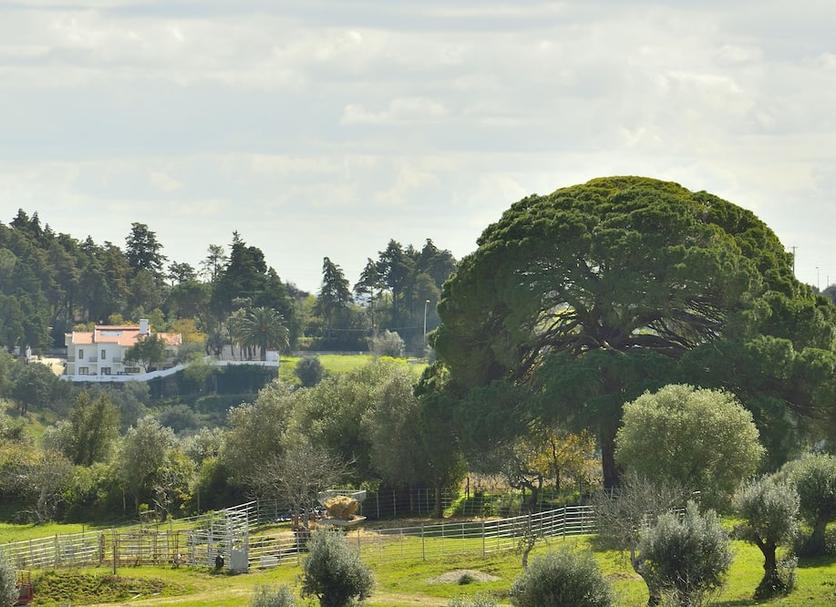 Extérieur Photo