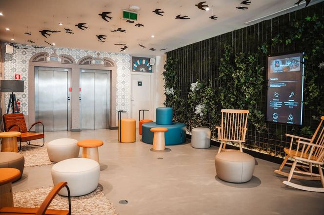 The Central House Porto Ribeira