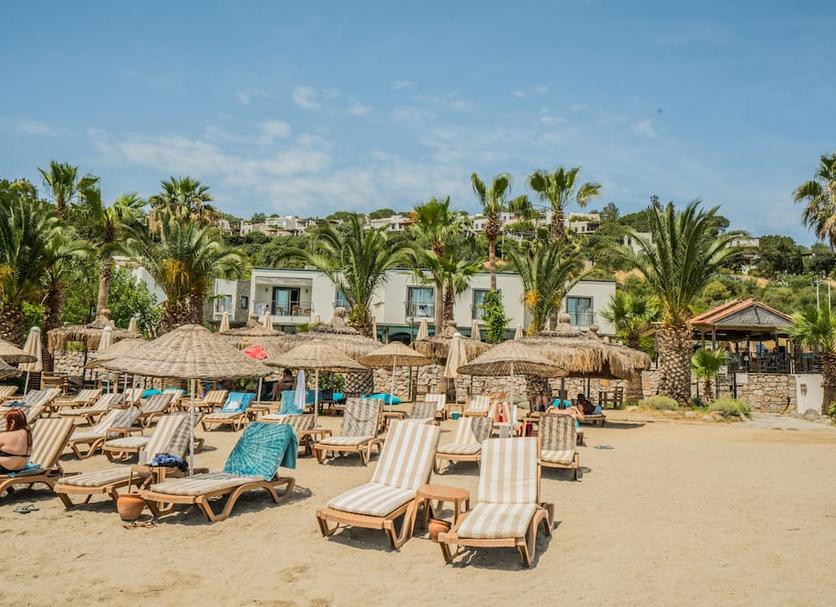 Plage Photo