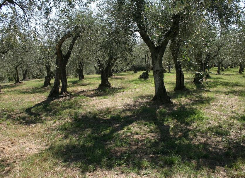 Extérieur Photo