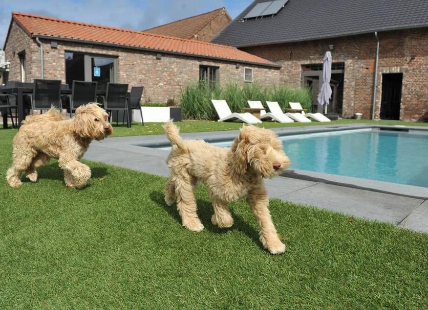Piscine Photo