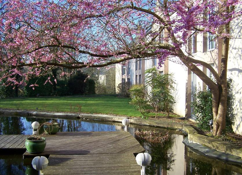 Extérieur Photo