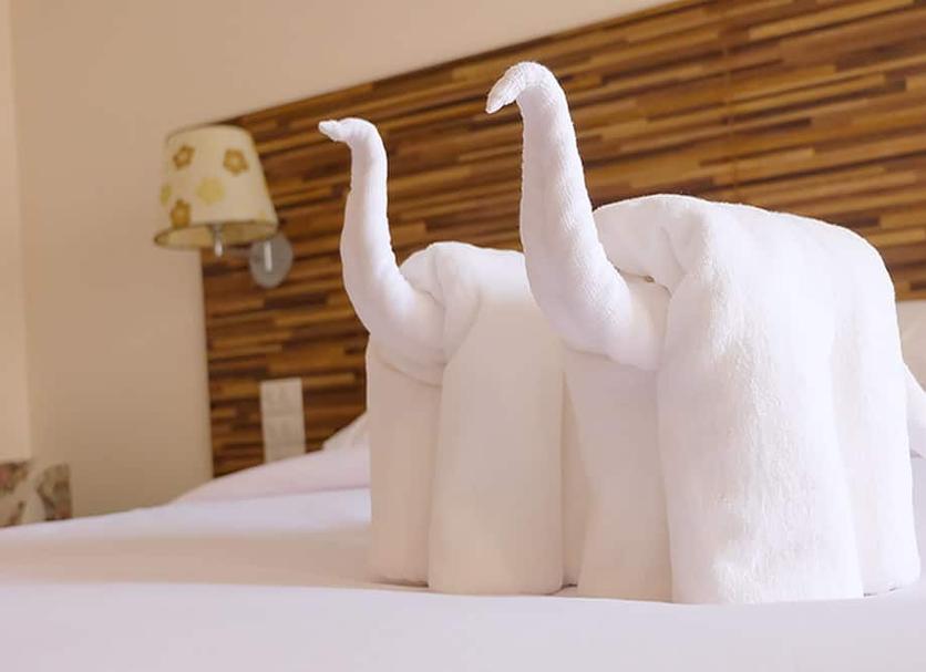 Équipements de la chambre Photo