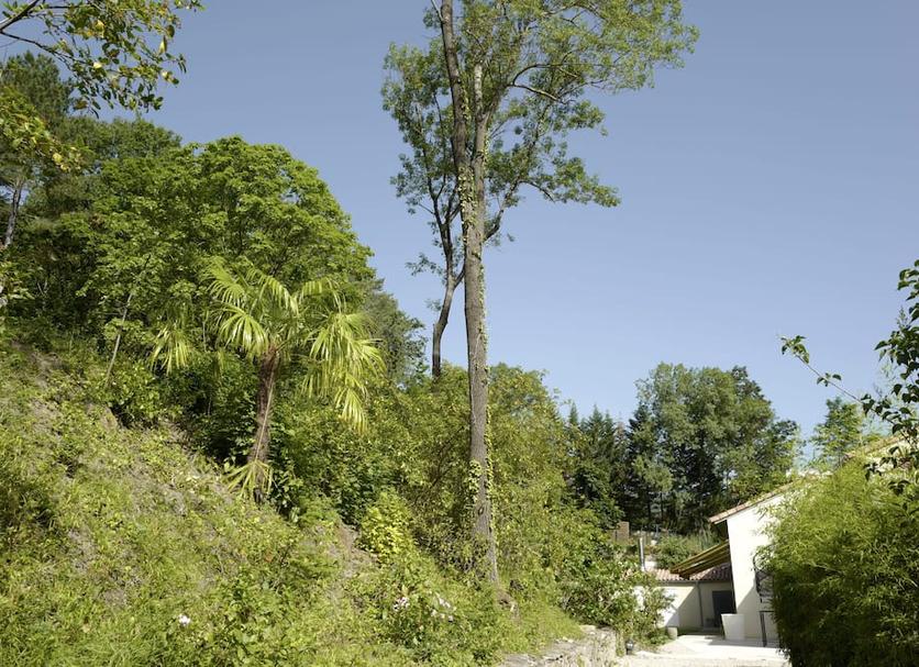 Extérieur Photo