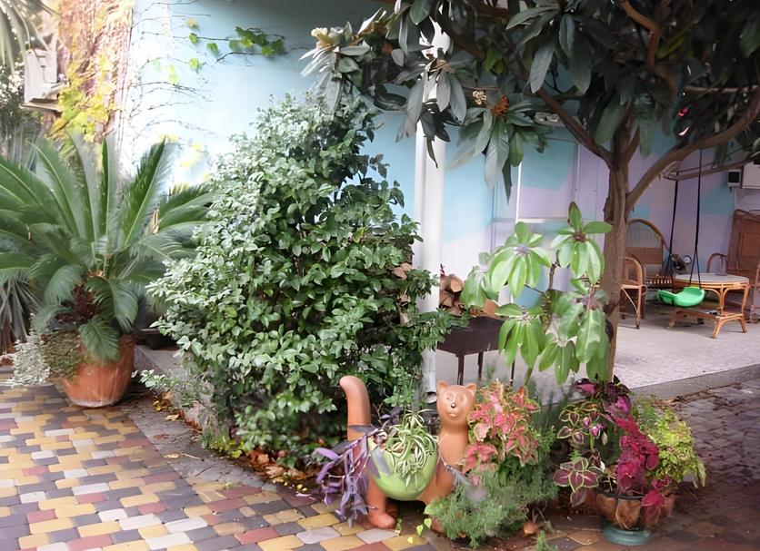 Extérieur Photo