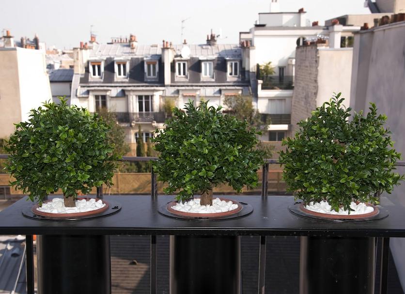 Balcon Photo
