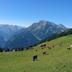 Autre