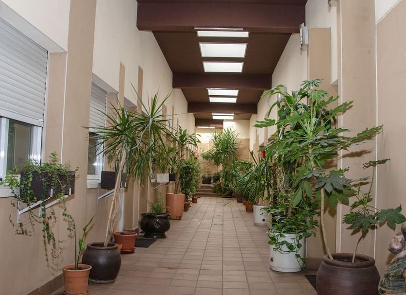 Extérieur Photo