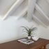Équipements de la chambre