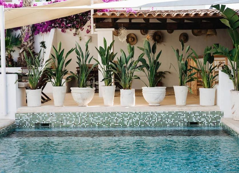 Piscine Photo