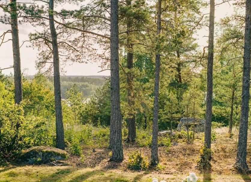 Extérieur Photo