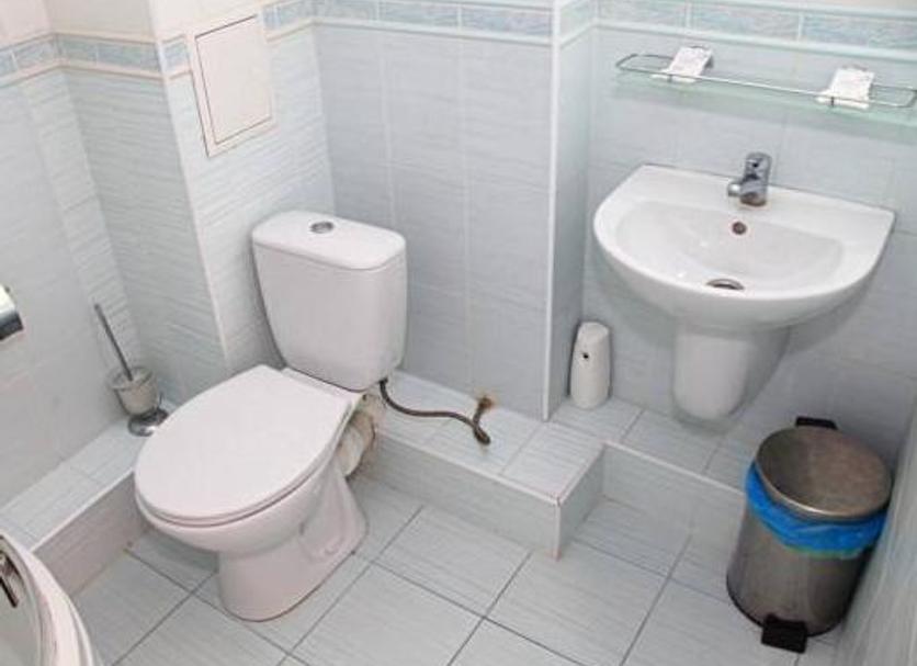 Salle de bain Photo