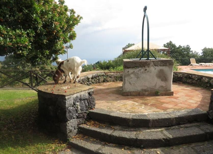Extérieur Photo