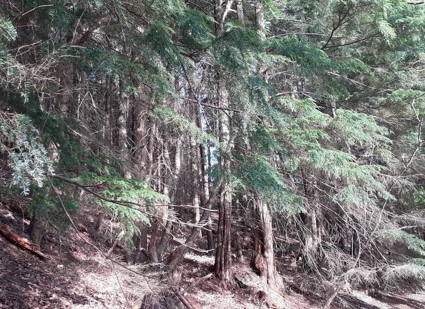 Extérieur Photo